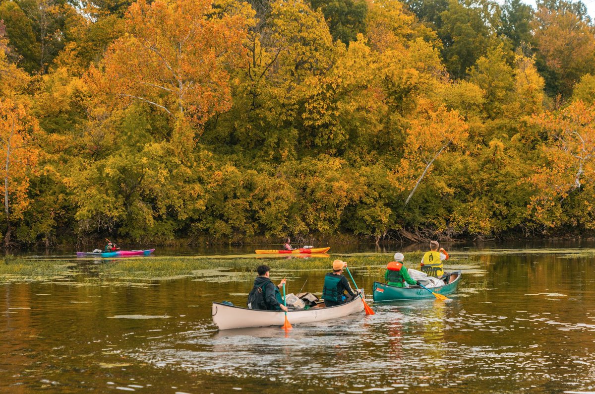 Frank's Paddlesports Livery tweet media