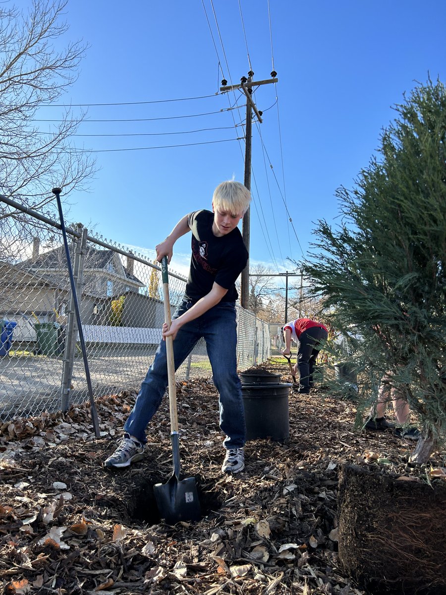Last week a group of our Raiders Football players volunteered their time after school to help plant new trees at the Waskasoo park down the street from the school.
The park is in the process of redevelopment. We would like to remind our students to respect this beautiful space.