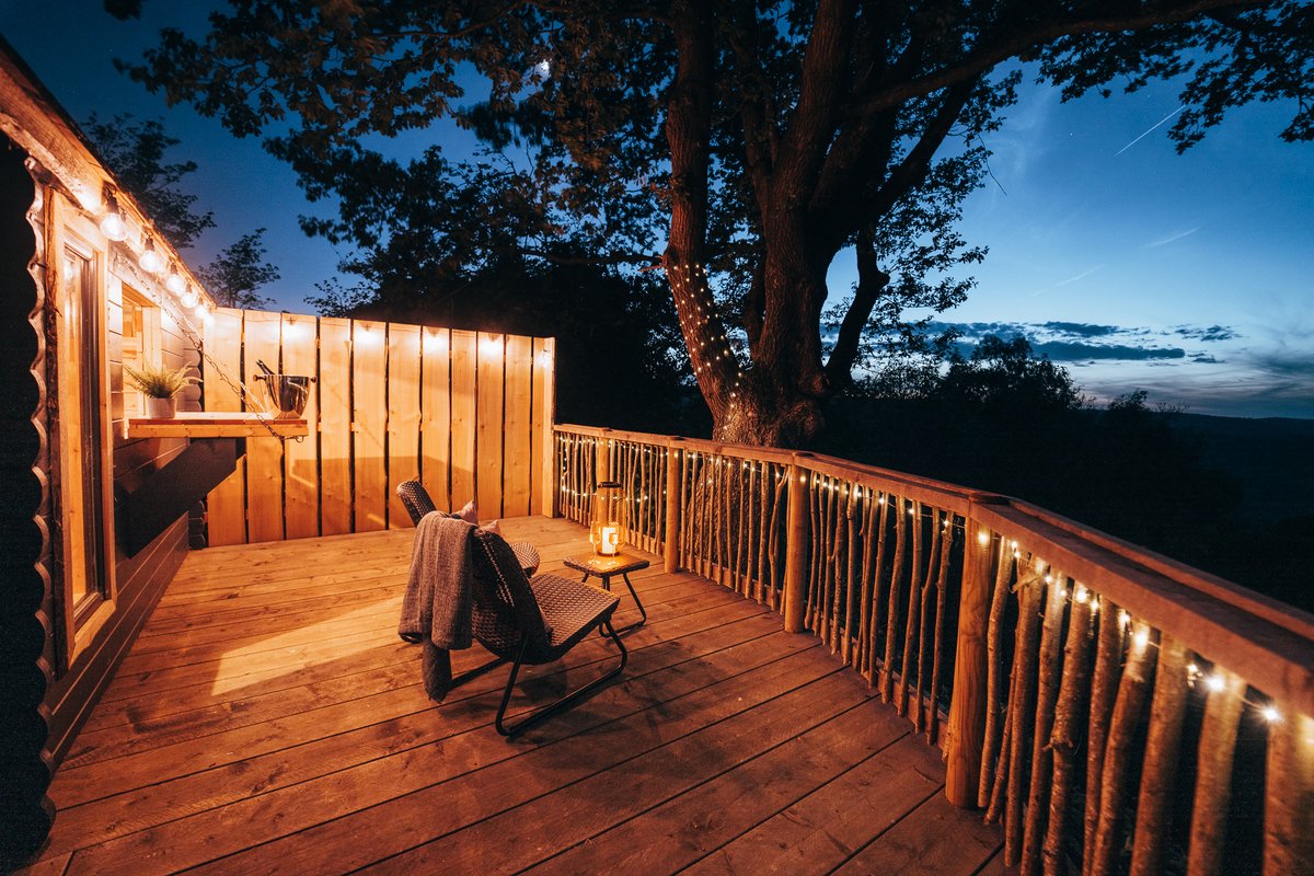 Katie Wilson tweet media