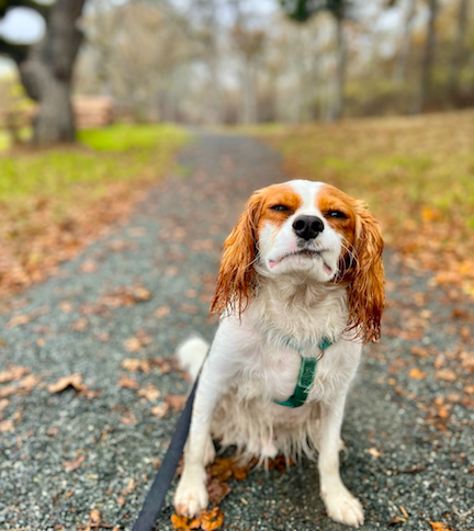 Why oh why are  photographing me when my ears are a mess? Get a grip Momma.