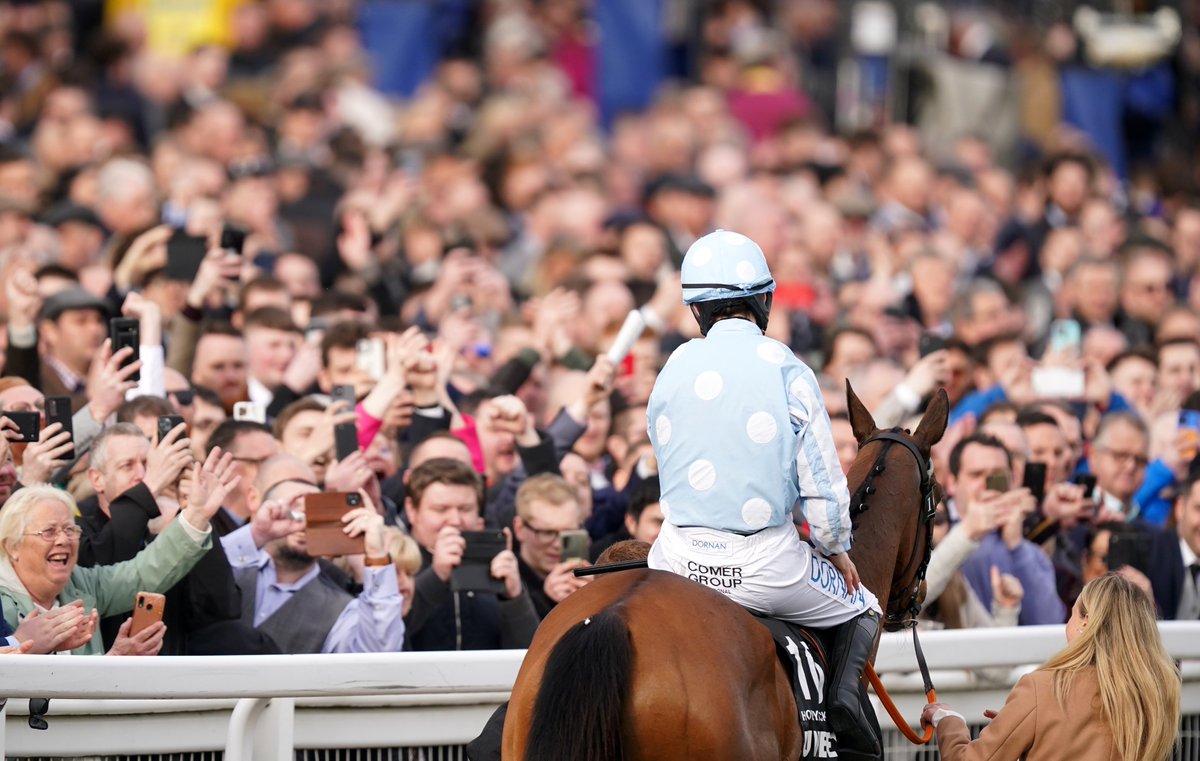 CheltenhamRaces's tweet photo. It has been a long 175 days without you 💕

Who is excited for tomorrow? 😍 https://t.co/RztgpQ6XYe