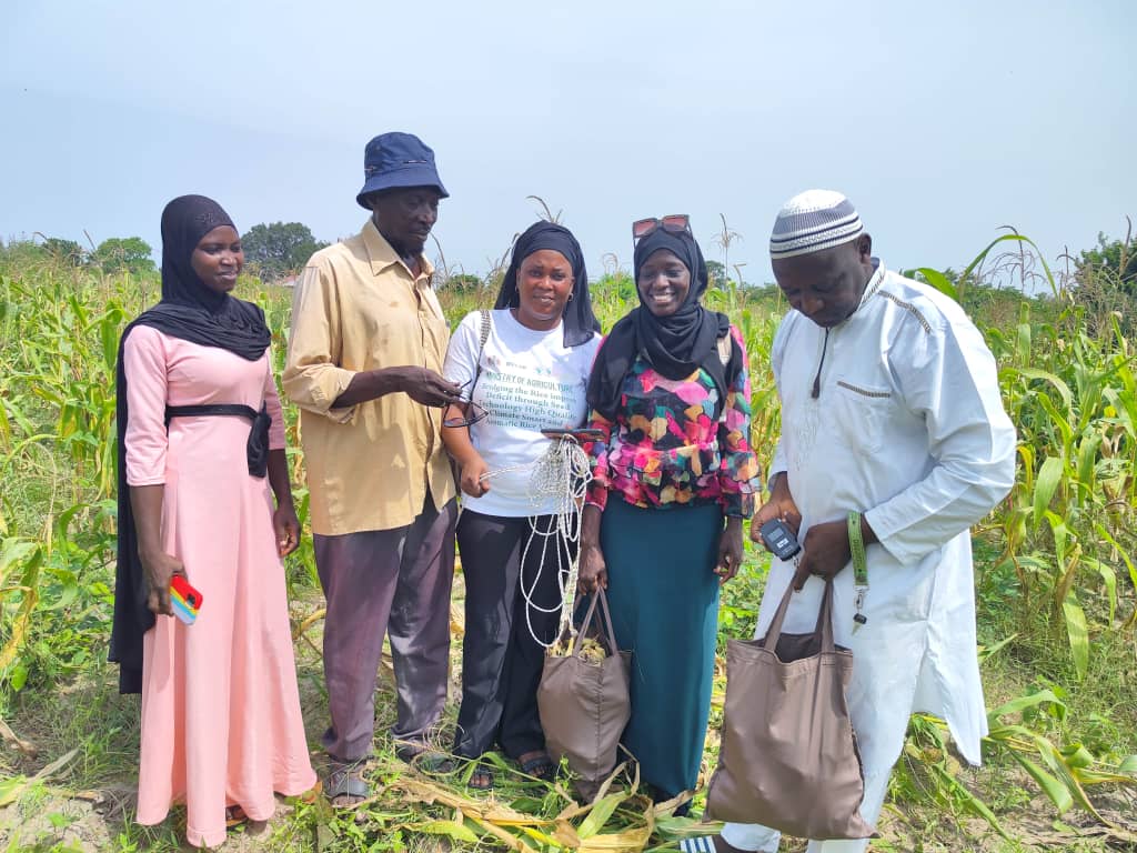 CPCUMoa's tweet photo. The Agriculture Extension Service (DoA) of The #MinistryofAgriculture through support from the #WorldBank-#GambianGov't funded #GIRAVProject is conducting a #Nationwide #YieldSampling and #YieldMeasurement exercise of #Rice and #Maize fields supported by the project. https://t.co/90QwVxpenW
