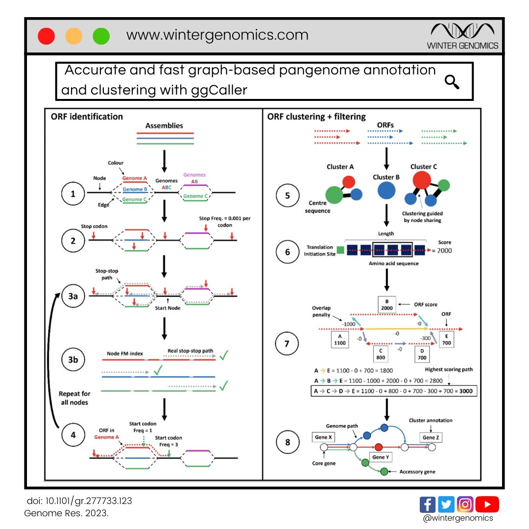 wintergenomics's tweet photo. ggCaller es una herramienta desarrollada por EMBL-EBI que combina la predicción de genes, la anotación funcional y la agrupación utilizando gráficos de Bruijn para toda la población, eliminando la redundancia en la anotación génica. 

Más: 
https://t.co/PhrmJXidAX https://t.co/Xc5vnebvly