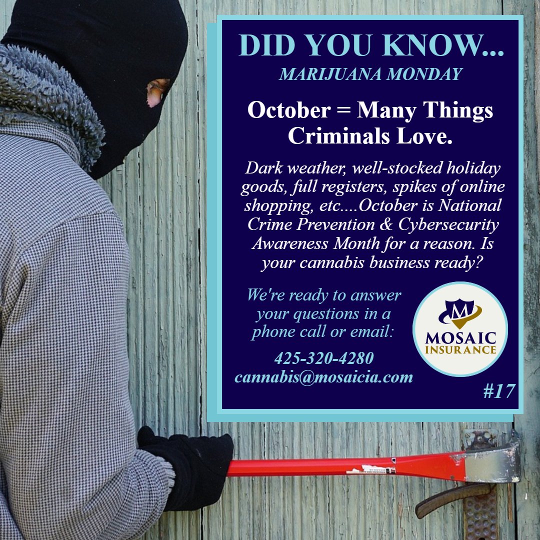 Quick—what do you do if you're in a store that suddenly gets robbed? How about 5 things that attract criminals? How about #insurance that can help protect you? mosaicia.com/blog/recent-cy…

#Mosaicia #marijuanamonday #didyouknowmonday #cannabiscommunity #cannabis #weed #pot #marijuana