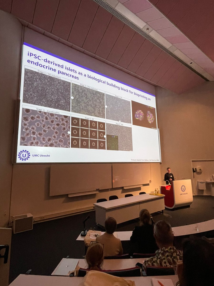 rlevato (@riclevato) on Twitter photo The past Friday, the Annual Meeting of the Dutch Society for Stem Cell Research took place at <a href="/UMCUtrecht/">UMC Utrecht</a> Congrats to Dr. Pere Catala who presented our first results with bioprinting of iPSC-derived pancreatic islets <a href="/ENLIGHT_H2020/">ENLIGHT EU</a> <a href="/biomaker_/">Davide Ribezzi</a> dsscr.nl #dsscr The past Friday, the Annual Meeting of the Dutch Society for Stem Cell Research took place at <a href="/UMCUtrecht/">UMC Utrecht</a> Congrats to Dr. Pere Catala who presented our first results with bioprinting of iPSC-derived pancreatic islets <a href="/ENLIGHT_H2020/">ENLIGHT EU</a> <a href="/biomaker_/">Davide Ribezzi</a> dsscr.nl #dsscr