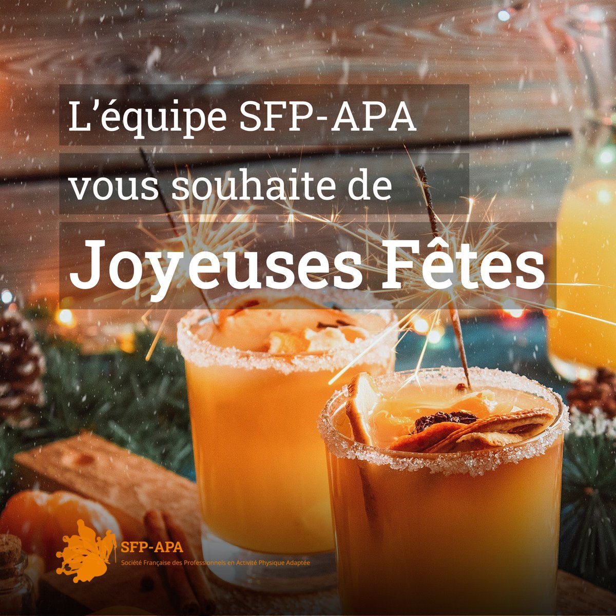 Toute l'équipe de la <a href="/SFP_APA/">SFP-APA</a> vous souhaite de très #JoyeusesFêtes ! 🎊 
Merci pour votre soutien et votre investissement tout au long de cette belle année 😊