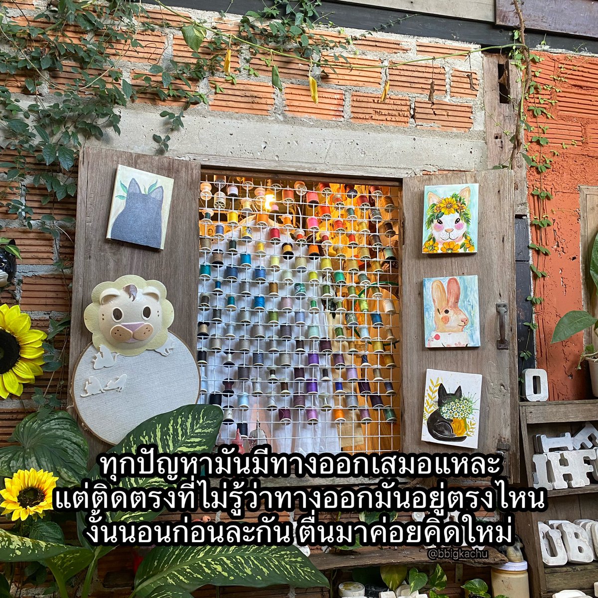 นอนก่อนนะ 555555555