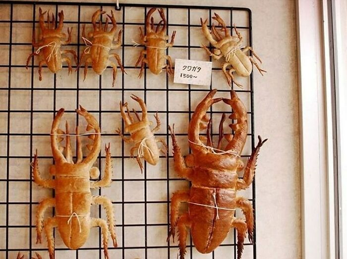 messedupfoods's tweet photo. beetle bread https://t.co/HZ9vT8UN4E