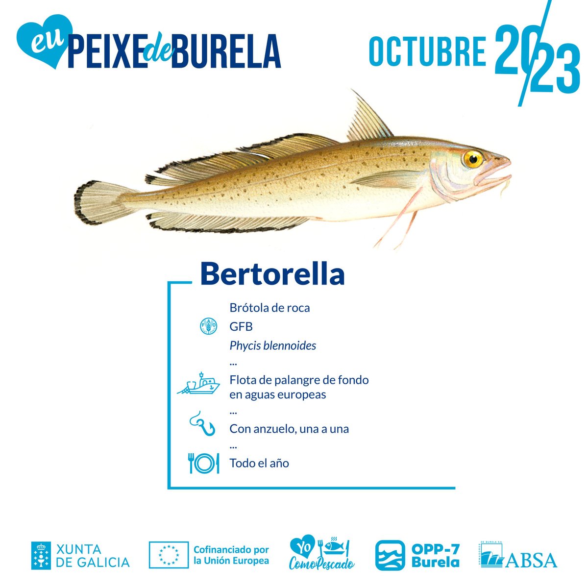 oppburela's tweet photo. Como ya sabéis, no todo es Merluza o Bonito en nuestra lonja o en nuestro recetario... Y es que todos los productos del Mar de Burela están estupendos en cualquiera de las formas en que se preparen!!
@pescaespana @come_pescado @MarXunta @cepesca @burelafs https://t.co/0DVqMqE4jN