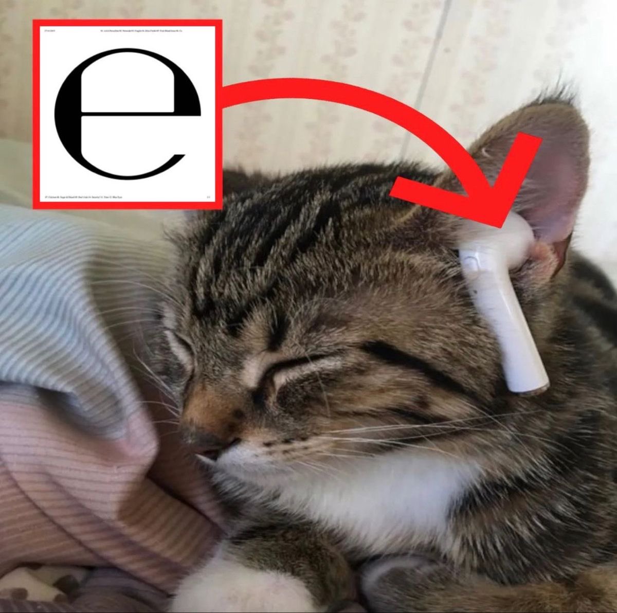 cole (@gravesoulja) on Twitter photo 