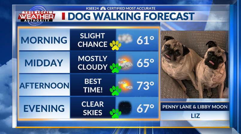 ReubenKSEE24's tweet photo. A sprinkle or light shower is still possible in the South Valley this am. Skies clear this afternoon, highs will be cooler. Low to mid-70s. I missed National Pug Day last week but we're celebrating today with our friends Penny Lane &amp; Libby Moon. Thanks to  Liz for the pix @KSEE24 https://t.co/8UBxKMu0RR