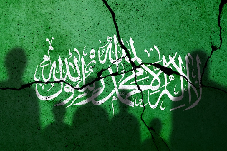 American Military University Disaster Crew tweet media