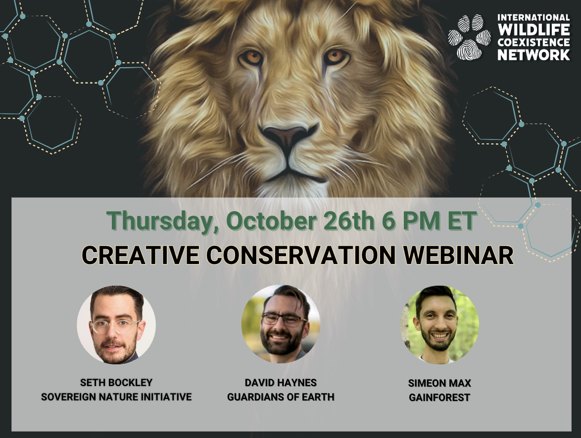Come explore creative takes on human-wildlife coexistence this Thursday at 6pm ET! We're joining @IwcnCoexist's webinar sharing highlights from our #TracingTheWild project, alongside speakers from @GuardiansofE and @GainForestNow. Register now: wildlifecoexistence.org/creative-conse…