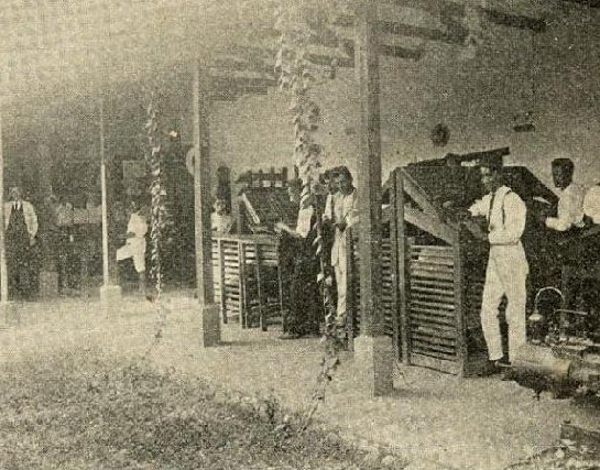 La Imprenta Palau Velázquez fue una de las principales imprentas de Cali a inicio del S. XX. Para más, lxs invitamos a leer "Dinámicas y experiencias de los trabajadores tipográficos en el establecimiento del capitalismo de imprenta en Cali (1903-1930)"
👇
revistas.unal.edu.co/index.php/achs…