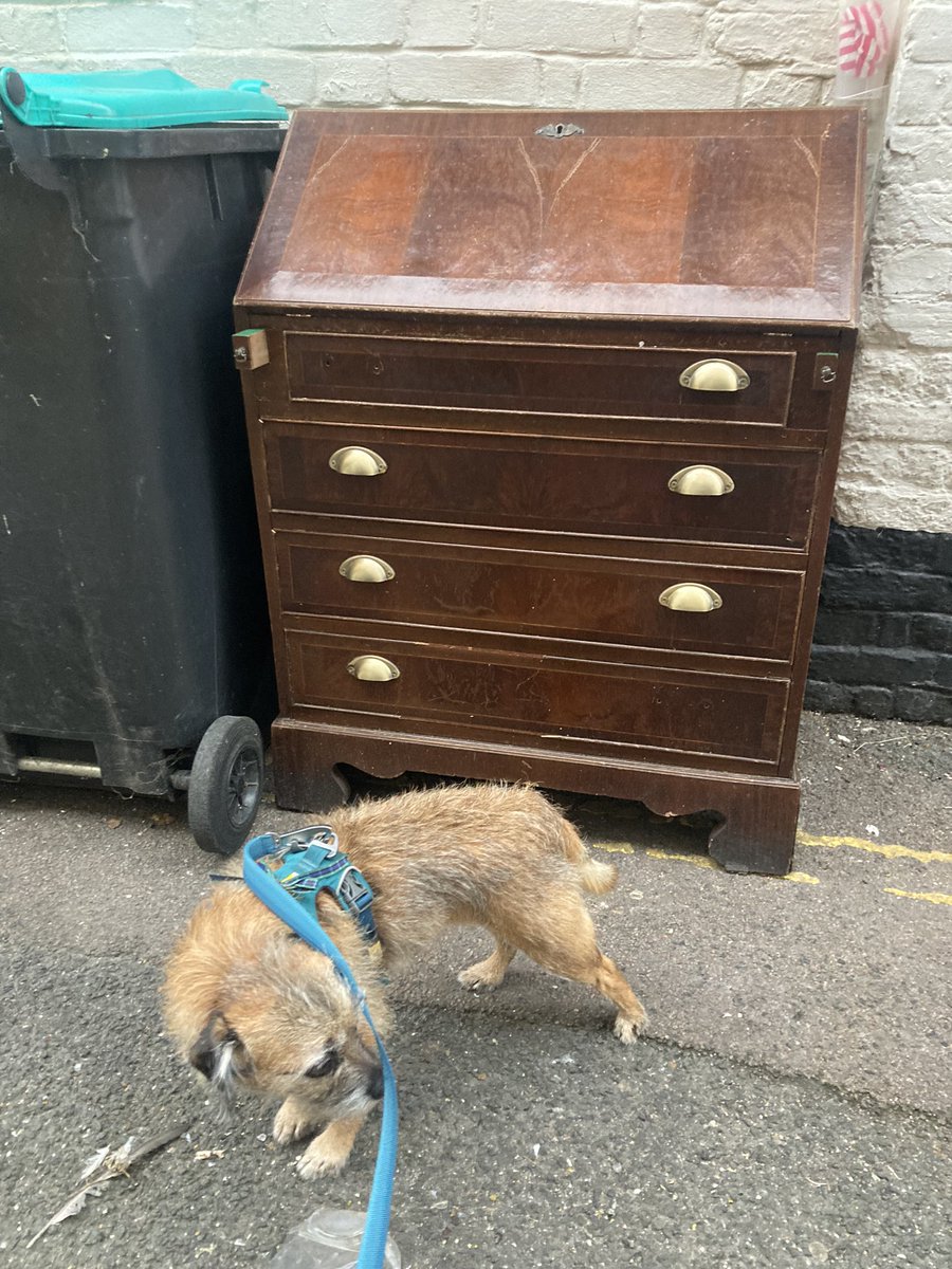 FloraGangsta's tweet image. @misheleneous  #RandomStuff 😂