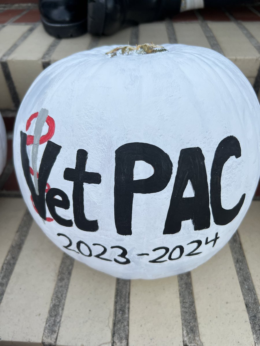 NCStateVetPAC's tweet photo. Fall was ushered in!! VetPAC interns, Dr T and Casey Parson painted pumpkins y’day in the Court of Carolina. Check these masterpieces out. @NCStateCALS @NCState @NCStateAlumni https://t.co/ORw6V0kC2Y