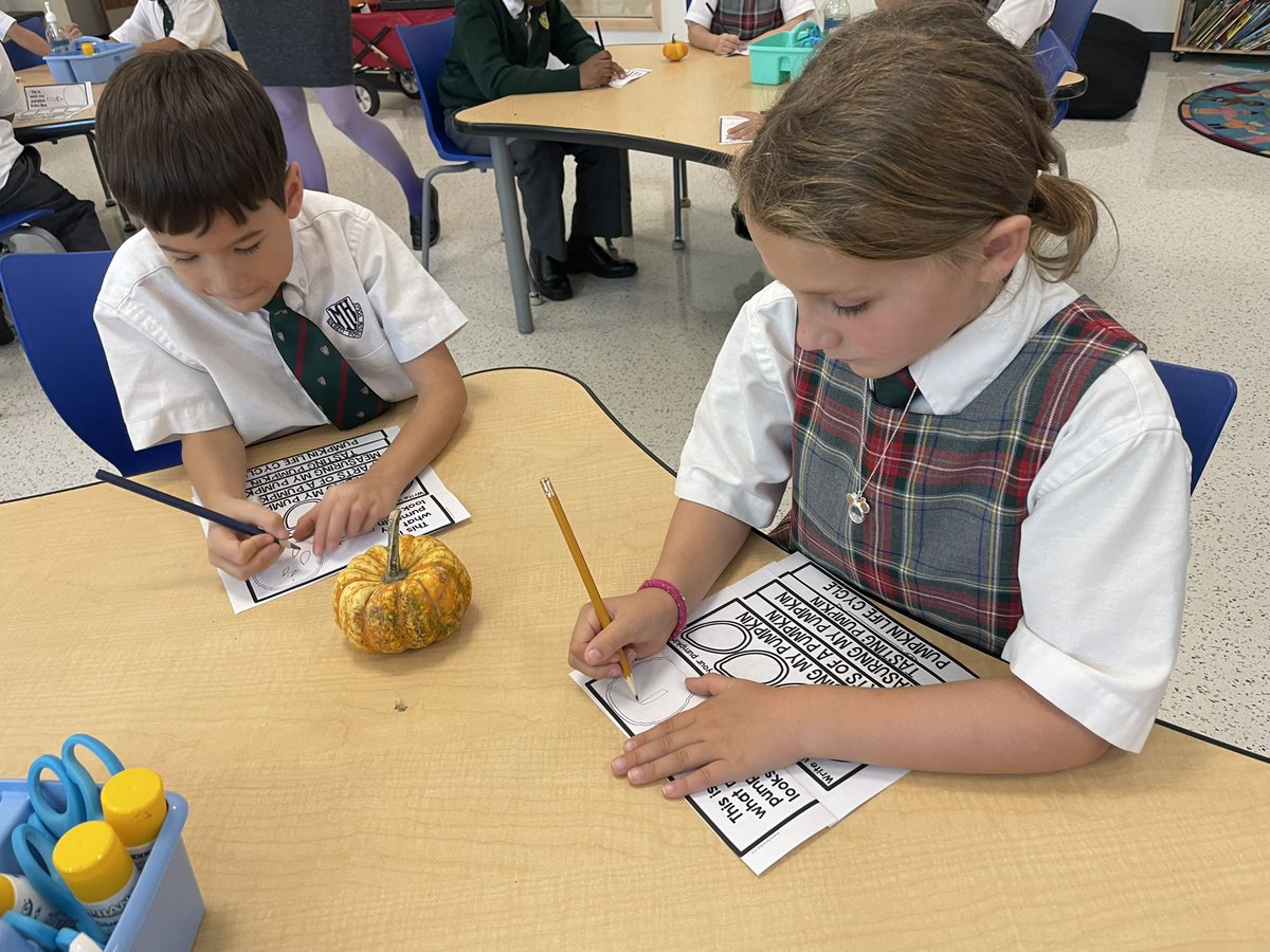 MissAPassi's tweet photo. Grades 1 and 2 coming together this week for a fun pumpkin inquiry! 🎃 @MHLondonOntario https://t.co/597GGclZfI