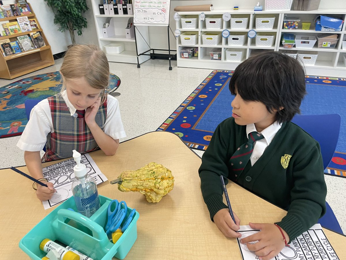 MissAPassi's tweet photo. Grades 1 and 2 coming together this week for a fun pumpkin inquiry! 🎃 @MHLondonOntario https://t.co/597GGclZfI