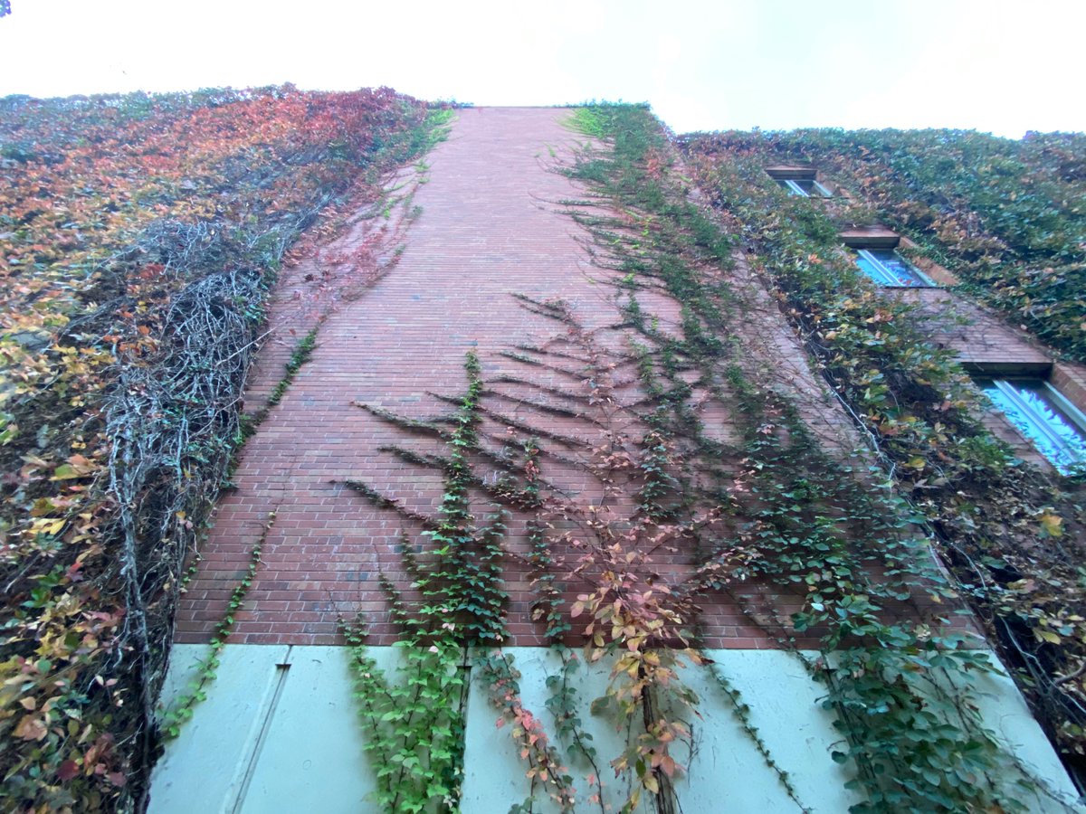 PalmeriJoAnn's tweet photo. When. did. this. happen.
#FallColors #OULibraries #LibrariesFromTheOutside https://t.co/PuMUXwNgRf