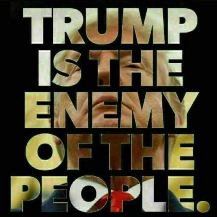 MtnManMT6's tweet image. #TraitorInChiefTrump
#LockTraitorTrumpUp

RT
RT