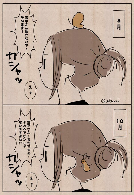 8月と先日にこういう事があって。私の頭なぜか蝶類が鎮座しがちなんだけど、何よりすごいのは若い子のスマフォを出す速さね。速すぎてどこから出したのか見えんのよ。え?って言った時にはもう撮ってんだわ。色々すごいわほんと。 
