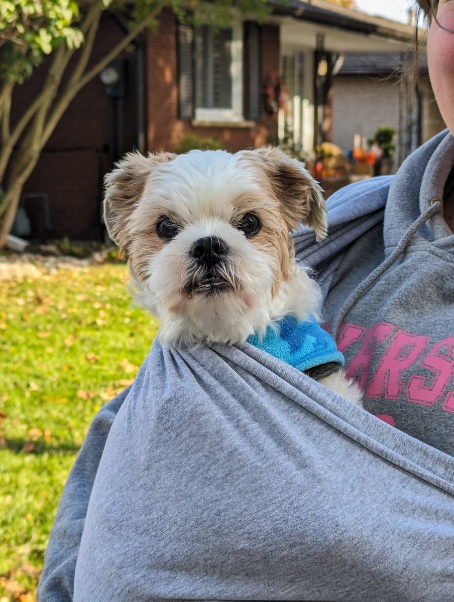 Sara Bloodsworth tweet media