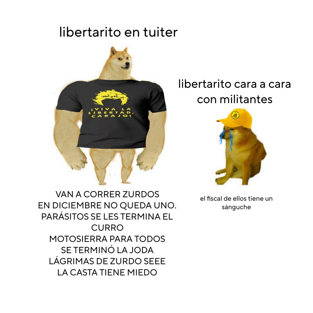 Fede_Roman's tweet photo. https://t.co/abwLeY4qsp