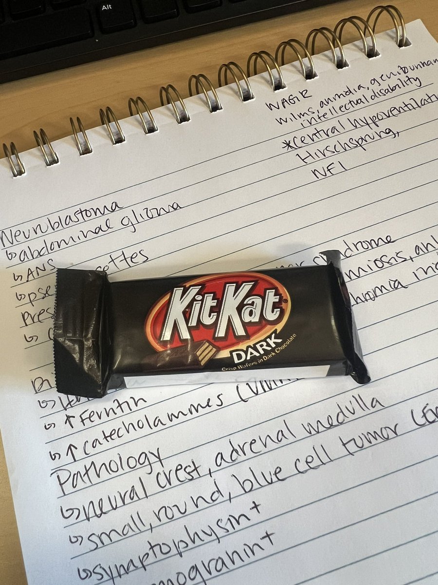 Fellow: “you should eat lunch if you haven’t already.”
Me: “I already ate.” 

Pic of the lunch