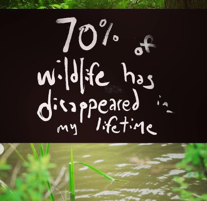 The 11th Melbourne Doc Fest / Naarm Doco Film Fest tweet media