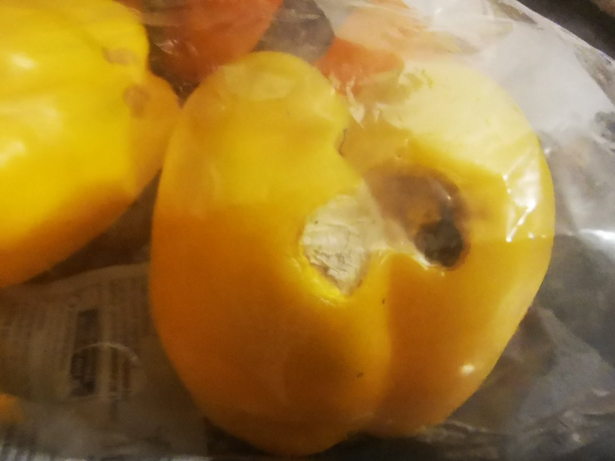 awesome_squib's tweet photo. @sainsburys received my food delivery today &amp; both packs of bell peppers are already rotting. I'm am not sure how the packing staff did not notice this. Each pepper is rotting. This is unacceptable. Whom do I need to contact in regard to getting a refund? https://t.co/ai7327Ecr9