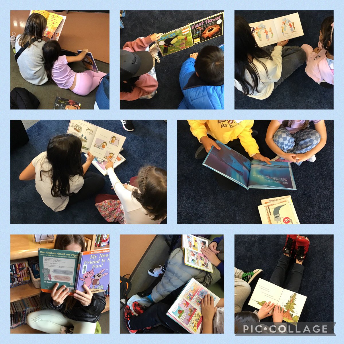 vansanten_c's tweet image. It was a buddy reading afternoon in the Katzie LLC today to celebrate Canadian School Library Day. ❤️your school library. #sd36tl #sd36learn @bctla