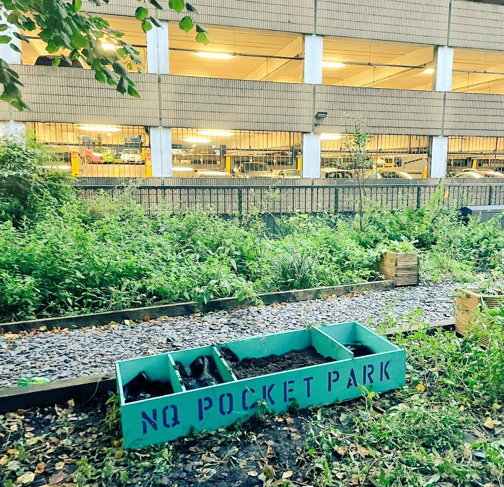 NorthernQuarterForum tweet media