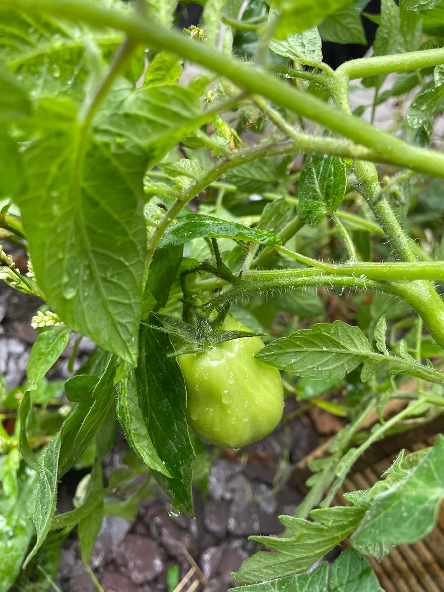 NorthernQuarterForum tweet media