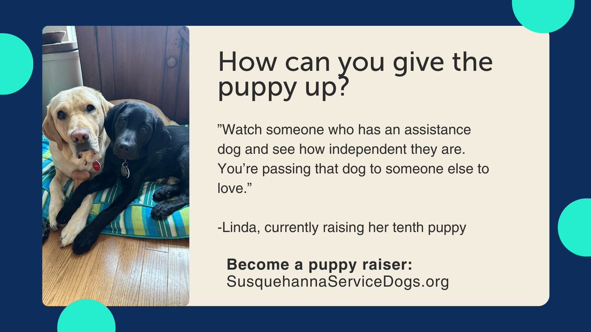 How can you give the puppy up? “I just tell them to watch someone who has an assistance dog and see how independent they are,” said Linda Dickmyer, currently raising her tenth puppy for SSD. “You’re passing that dog to someone else to love.” Sign up: khs.org/what-we-do/ass…