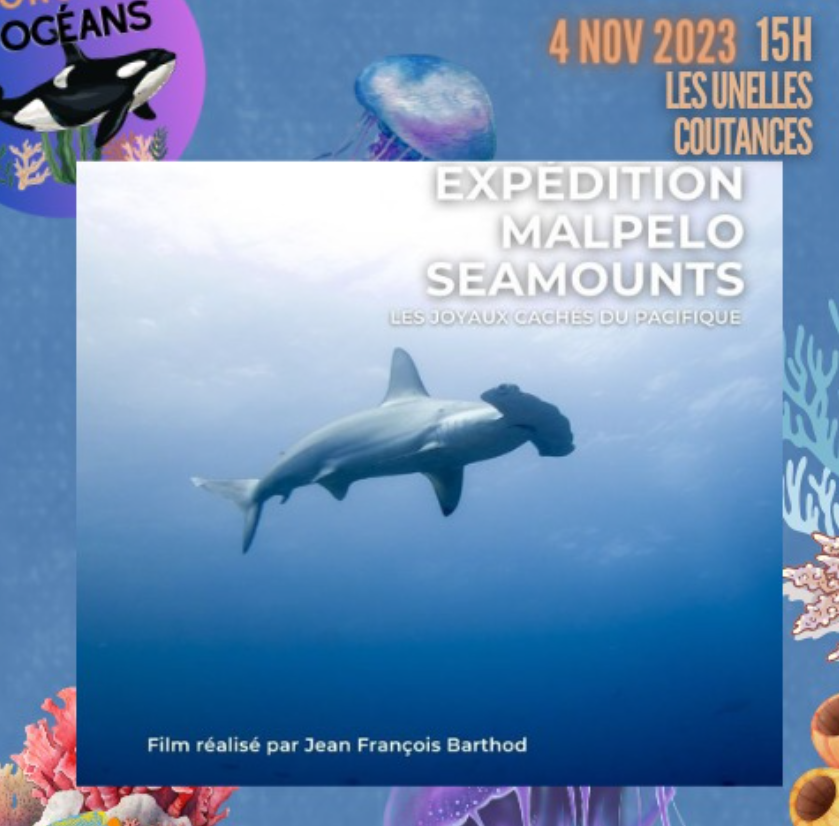 Fundación Malpelo tweet media