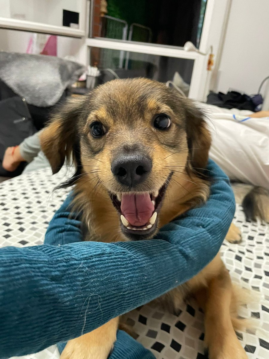 𝓁𝒾𝓈 tweet media