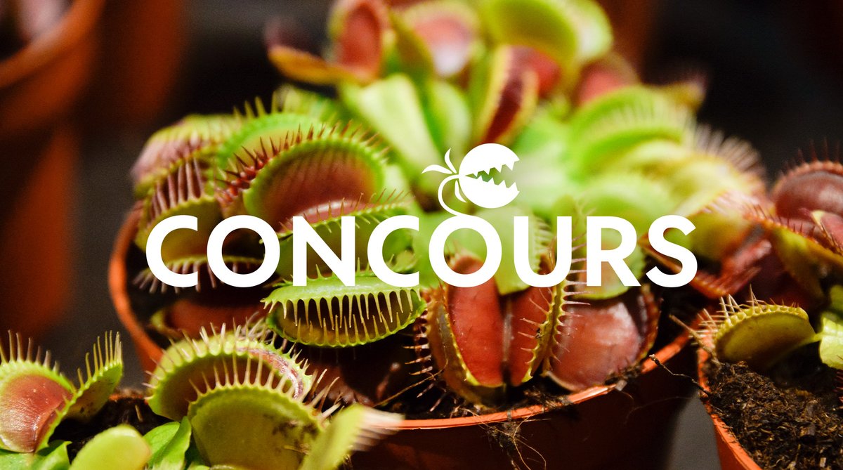 #Concours 🎃
Moi Plantivore, vous pose une petite devinette 👑L'une des personnes qui aura RT avec la bonne réponse pourra remporter une carte cadeau de 50€ 🪴
La dionée se nomme également :
1. Attrape-mouche
2. Attrape-nigaud
3. Attrape-moi-si-tu-peux

TAS en fin de journée🍀