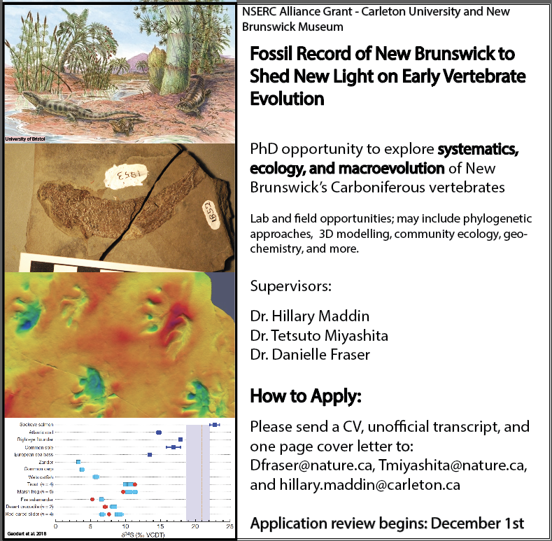 Hillary Maddin (@evo_deva) on Twitter photo We are seeking to fill one last PhD position on our NSERC Alliance grant in partnership with the New Brunswick Museum. Join an enthusiastic team based in Ottawa, Canada, to study new and exciting Carboniferous vertebrate fossils! #SVP2023 <a href="/CarletonScience/">Carleton Science</a> #MaddinLab We are seeking to fill one last PhD position on our NSERC Alliance grant in partnership with the New Brunswick Museum. Join an enthusiastic team based in Ottawa, Canada, to study new and exciting Carboniferous vertebrate fossils! #SVP2023 <a href="/CarletonScience/">Carleton Science</a> #MaddinLab