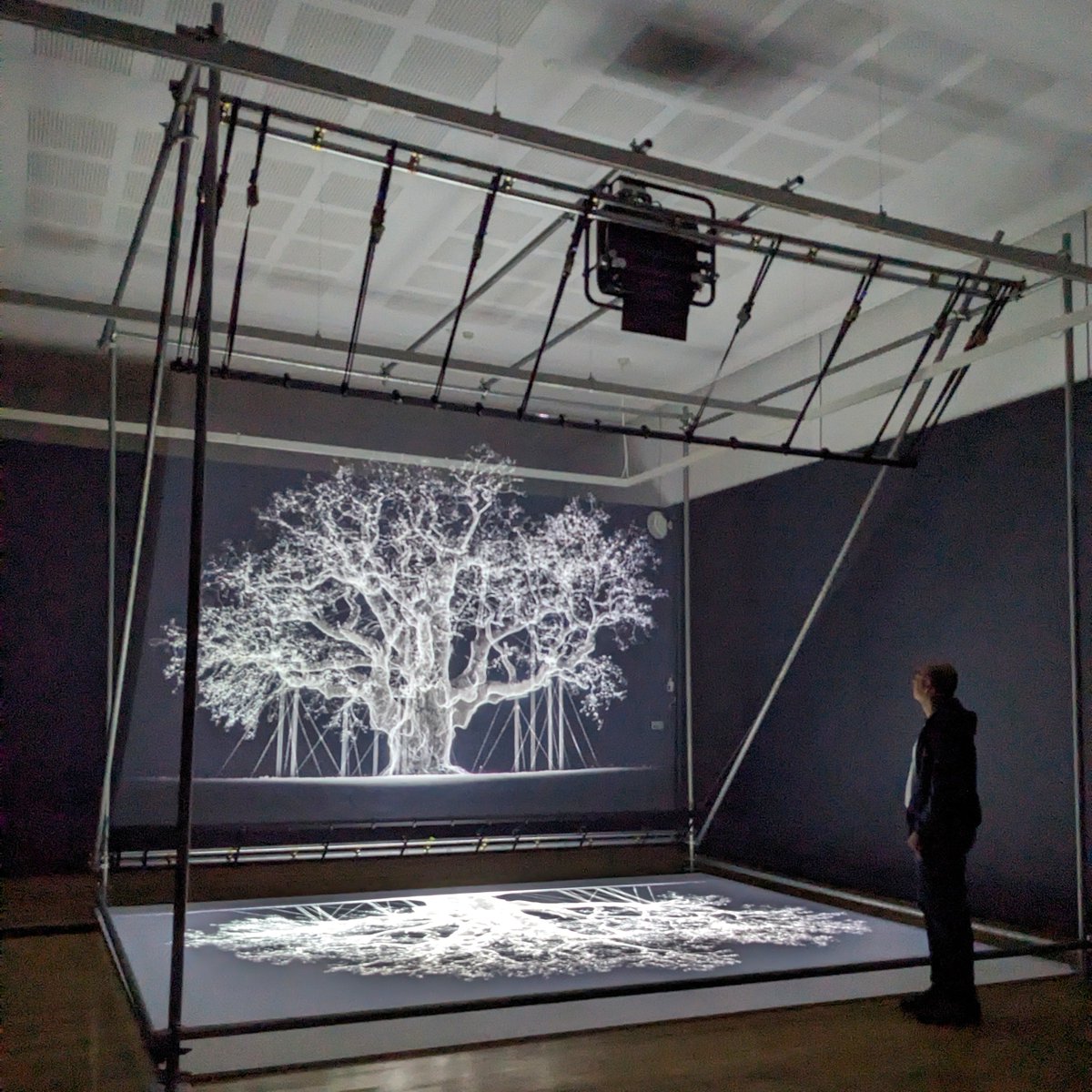 LondonArtCritic's tweet image. Mat Collishaw’s works draw attention to big questions about the future in a way that’s both thought provoking and eerily beautiful. Read my review of 'Petrichor' @kewgardens via @CultureWhisper now: culturewhisper.com/r/visual_arts/… #LondonArtCritic #LondonExhibitions