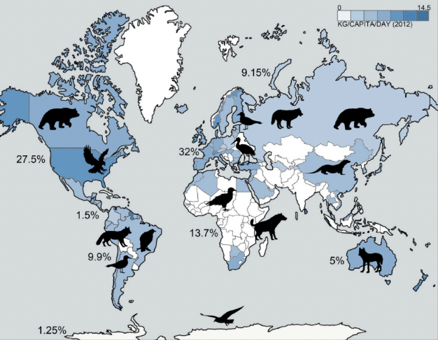 Adele686233's tweet photo. 2/4: El estudio usó 159 artículos pasados para encontrar información sobre cuáles especies usan los vertederos como una fuente de comida. Los autores analizaron la población, reproducción, patrones de movimiento, propagación de patógenos y exposición a toxinas. #CCARE5 #Pla12 https://t.co/cNOj5xirFY