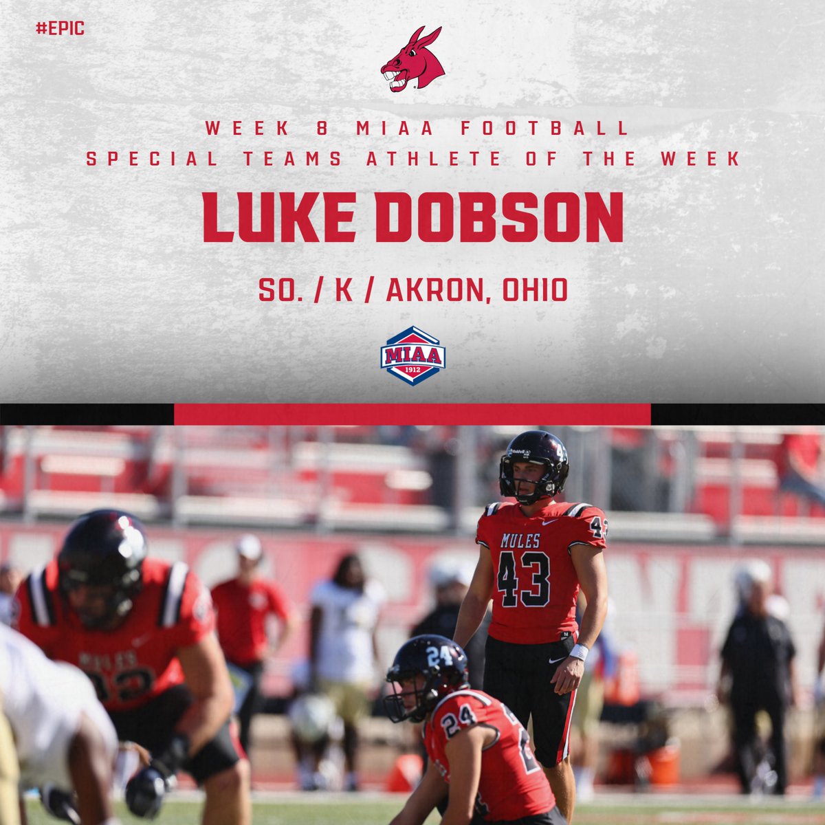 Mules Football tweet media