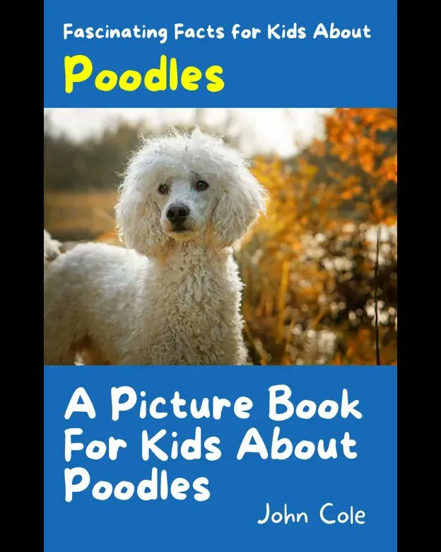 longtalebooksco's tweet photo. 🐩 Join Polly the Poodle on a delightful adventure! This heartwarming picture book is perfect for animal-loving kids. Discover the playful nature, intelligence, and unique coat of poodles. 📚🐾 #PollyThePoodle #KidsBooks  https://t.co/SBC0o3XPtm https://t.co/USNLxXmgpP