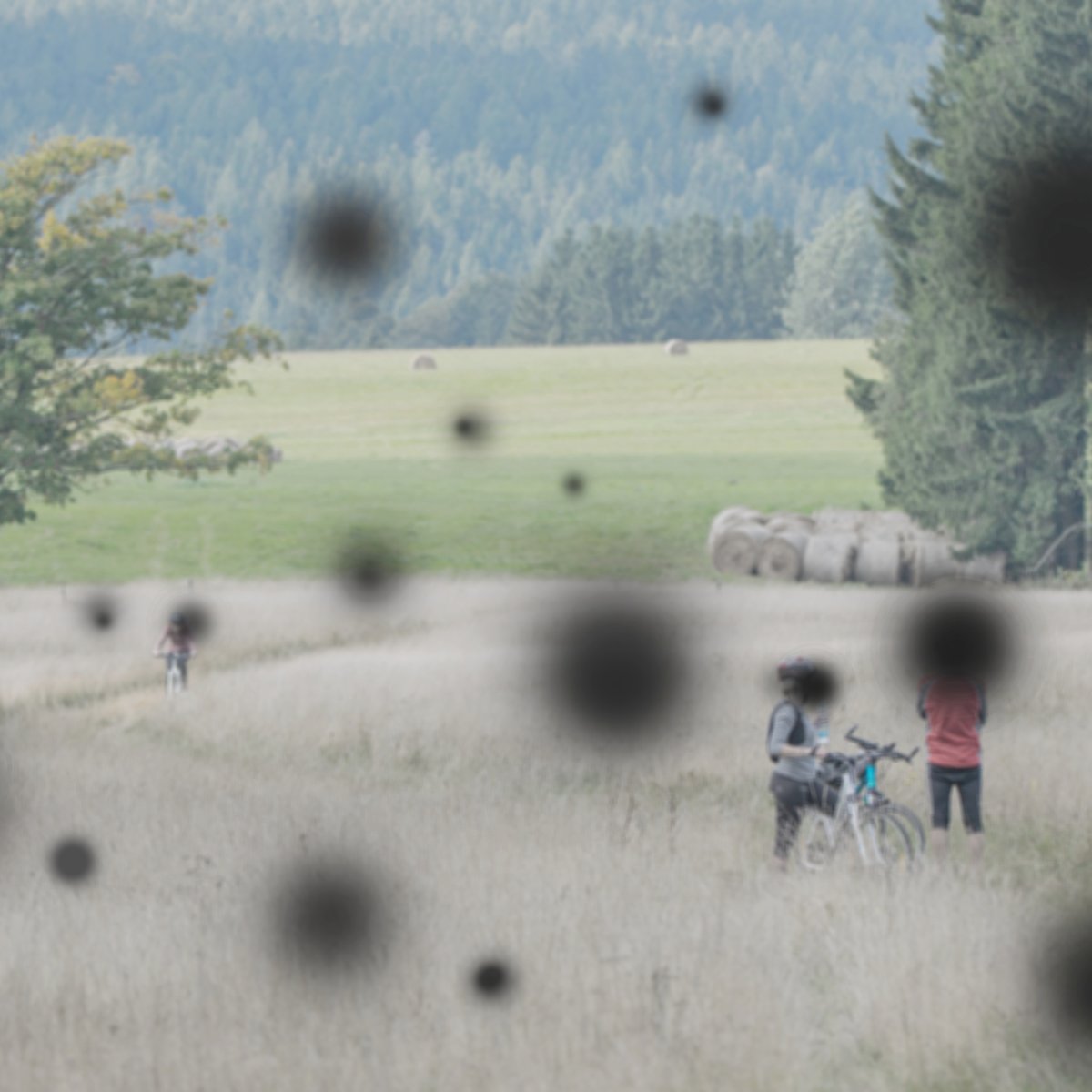 Zoomer's tweet image. Only half of Canadians aged 40–64 visit an eye care professional annually. Do you? Don’t wait until Age-Related Macular Degeneration (AMD) gets in the way. Visit linktr.ee/livingwithitca to learn more and book an appointment today. #LivingwithIt #ad