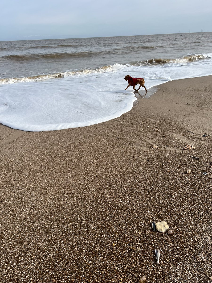 atkinsmaths's tweet photo. A day at the seaside to start the half term, just what was needed https://t.co/DblNqK1ZGf