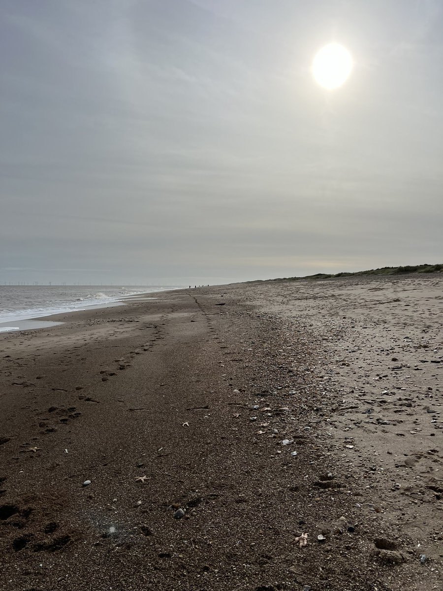 atkinsmaths's tweet photo. A day at the seaside to start the half term, just what was needed https://t.co/DblNqK1ZGf