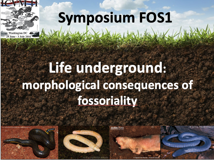 Hillary Maddin tweet media