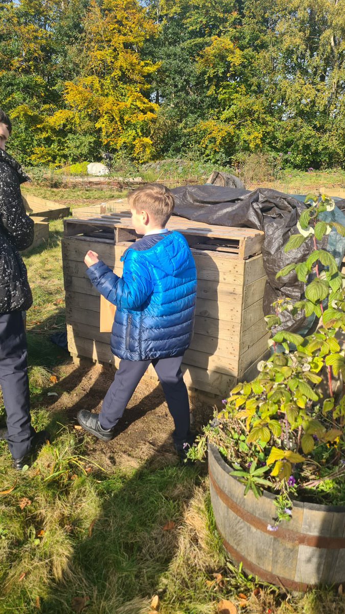 Burgh Primary School tweet media