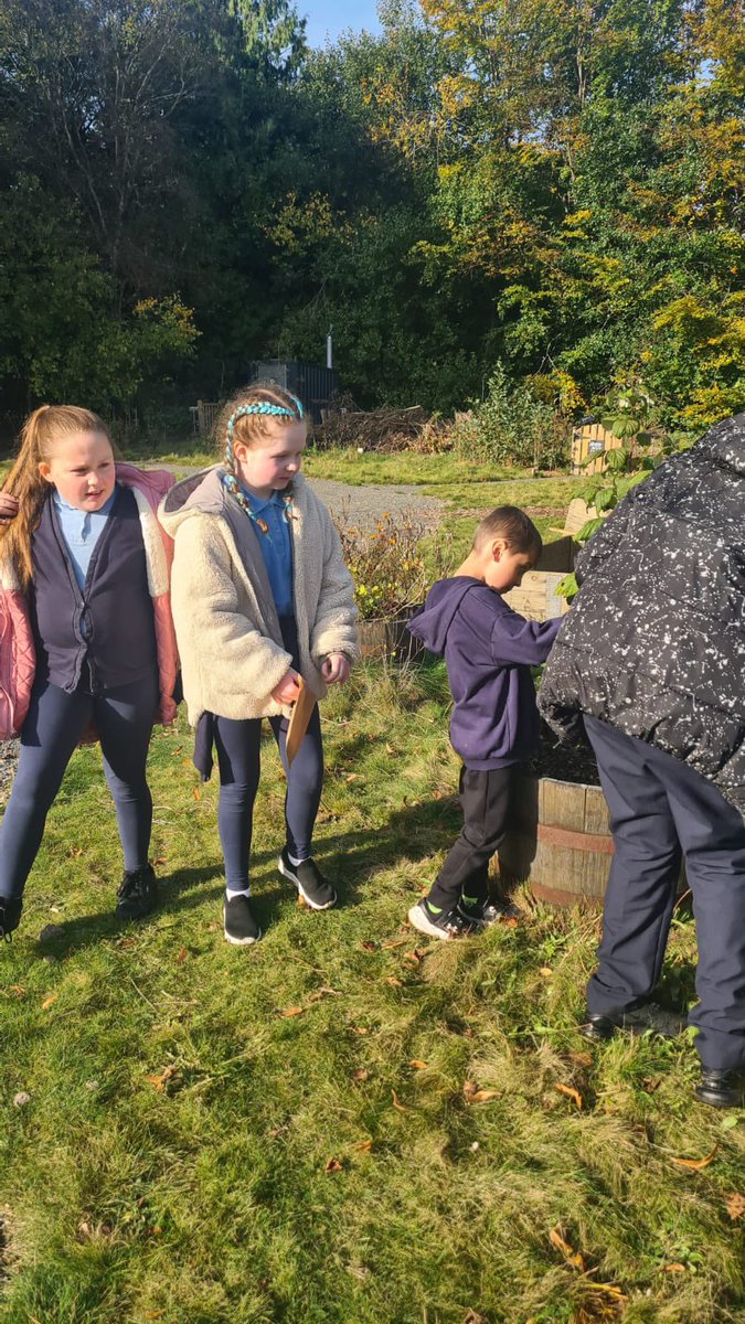 Burgh Primary School tweet media