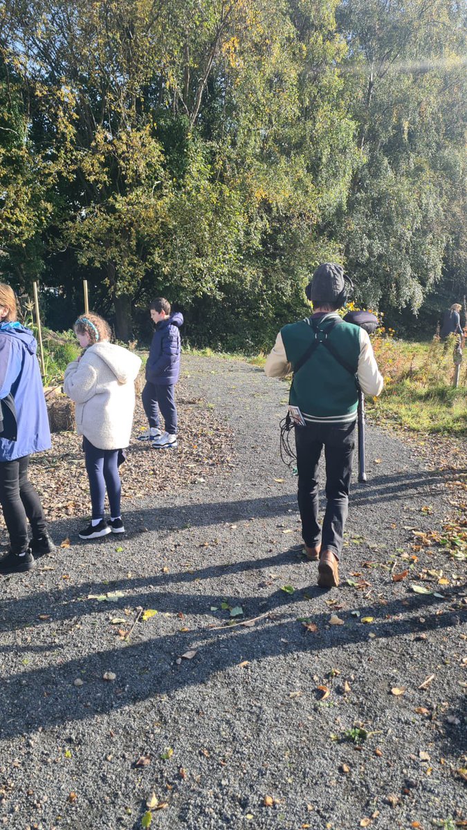 Burgh Primary School tweet media