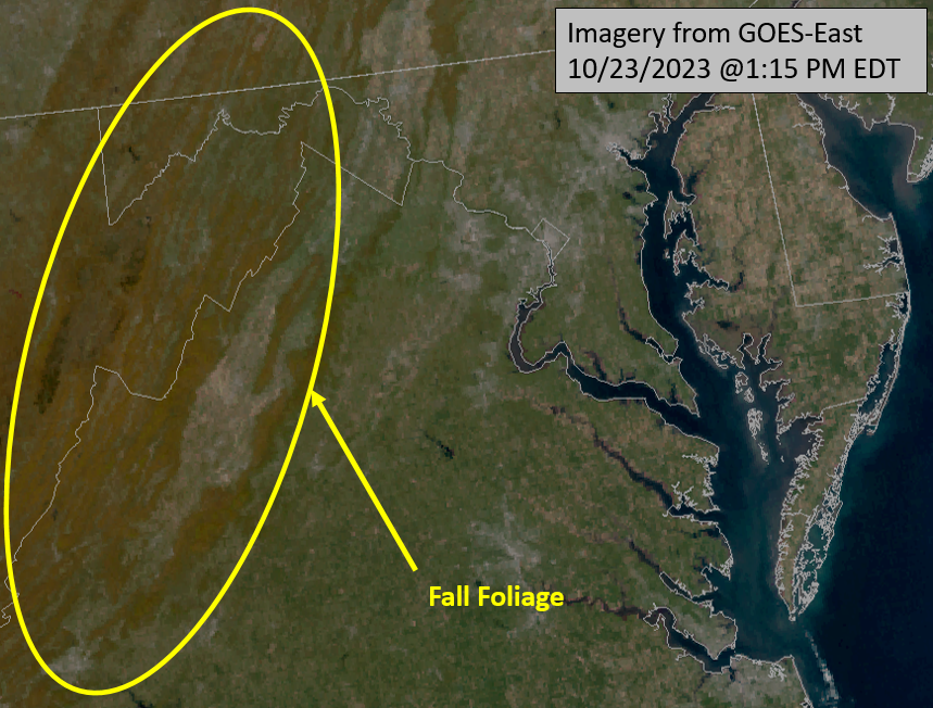 High pressure overhead gives us clear skies this afternoon. This provides us a good view of the fall foliage in the higher elevations (circled in yellow) via visible satellite imagery from @NOAASatellites